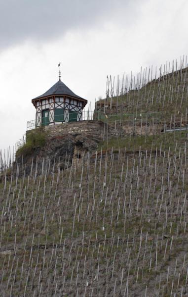 Weingut & Gaestehaus Schmitz-Bergweiler Bernkastel-Kues Exterior photo